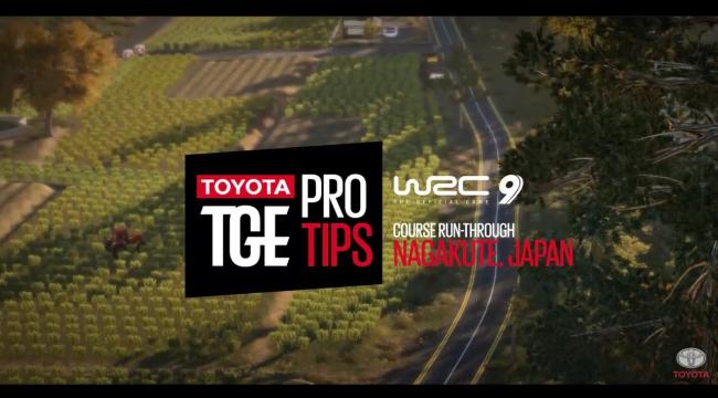 Embedded thumbnail