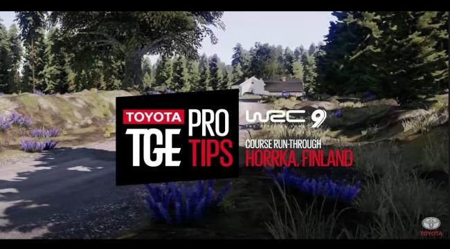 Embedded thumbnail